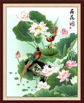 荷花