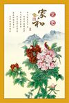 牡丹花