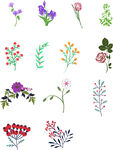 花花