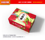 火龙果包装 水果礼盒