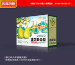 香梨包装 梨礼盒