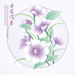 甘菊