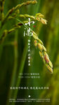 小满  