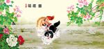 猫趣图 