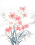 兰花