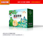 柚子包装 青柚包装