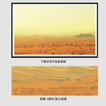 黄色沙漠油画