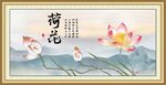 荷花图片