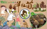 羊肚菌