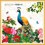 国画牡丹孔雀图