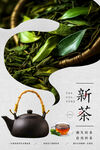 新茶上市