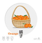 橘子插画 