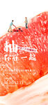 橘子活动