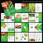 蔬菜水果画册 农产品宣传册