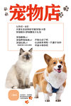 宠物