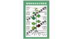 植物缺素症状识别图谱
