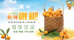 新鲜枇杷