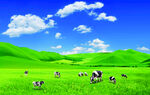 草原 羊群 蓝天 绿地