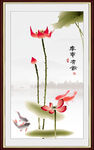  荷花