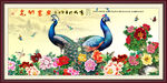 国画孔雀