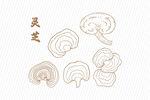 手绘灵芝线稿