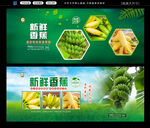 香蕉