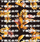 热带叶子