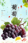葡萄