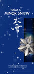 大雪