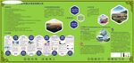 长青企业发展历程