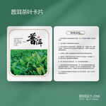 普洱茶茶叶介绍冲泡方法卡片