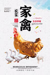 家禽