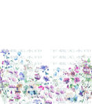 水彩花卉