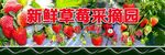 草莓园