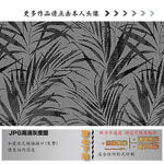 肌理纹