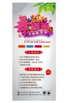 舞蹈班招生