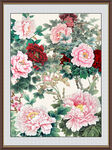 国画牡丹 