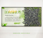 江山绿牡丹茶叶展板