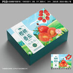 西红柿包装 小番茄礼盒