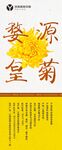 婺源皇菊