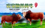 黄牛海报