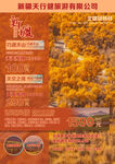 大美新疆旅游海报
