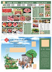 涮肉火锅菜单菜谱