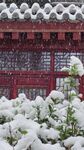 落雪纷纷