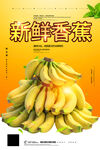 香蕉