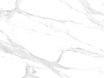 爆款 质感新鱼肚白 TIF合层
