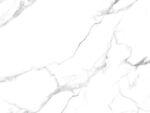 新款 清晰新鱼肚白 TiF合层