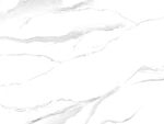 人气 简约新鱼肚白 TiF合层