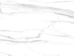 清晰 新传鱼肚白纹 TiF合层