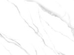 高档 新传鱼肚白纹 TiF合层